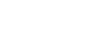لوگوی رسمی فیلم The Heat (2013)
