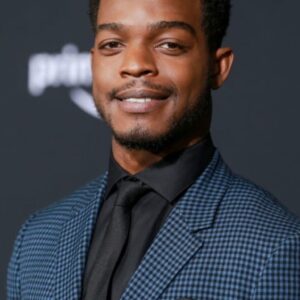 تصویر هنرمند Stephan James