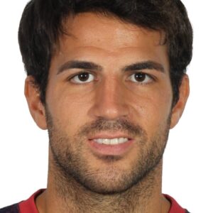 تصویر هنرمند Cesc Fàbregas تصویر هنرمند Cesc Fàbregas