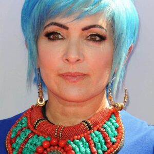 تصویر هنرمند Jane Wiedlin
