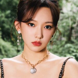 تصویر هنرمند Cheng Xiao تصویر هنرمند Cheng Xiao