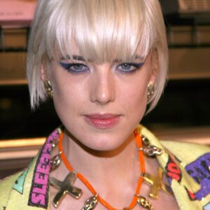 تصویر هنرمند Agyness Deyn