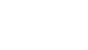 لوگوی رسمی انیمه Detective Conan: Sunflowers of Inferno (2015)