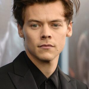تصویر هنرمند Harry Styles