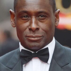 تصویر هنرمند David Harewood