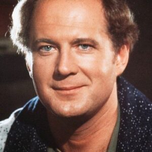 تصویر هنرمند David Ogden Stiers