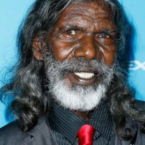 تصویر هنرمند David Gulpilil
