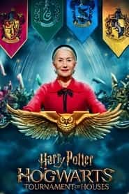 پوستر رسمی سریال Harry Potter: Hogwarts Tournament of Houses (2021)