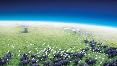 Teaser for Planet Earth