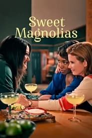 پوستر رسمی سریال Sweet Magnolias (2020)