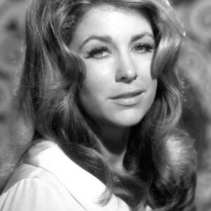 تصویر هنرمند Michele Carey تصویر هنرمند Michele Carey