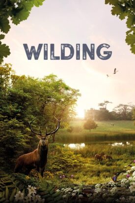 پوستر رسمی فیلم Wilding (2024)