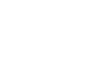 لوگوی کالکشن A Dog