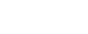 لوگوی کالکشن Vikings