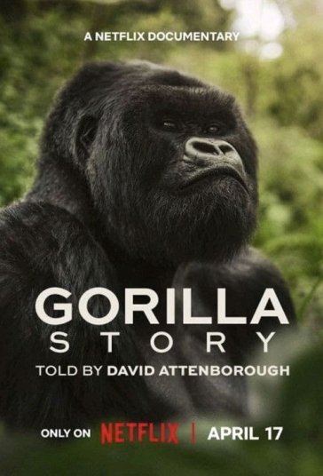 پوستر رسمی فیلم A Gorilla Story: Told by David Attenborough (2026)